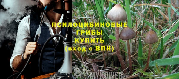 PSILOCYBIN Приозерск