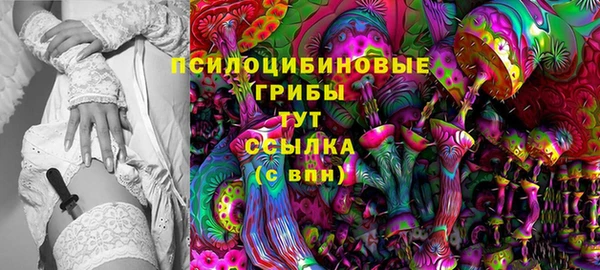 PSILOCYBIN Приозерск