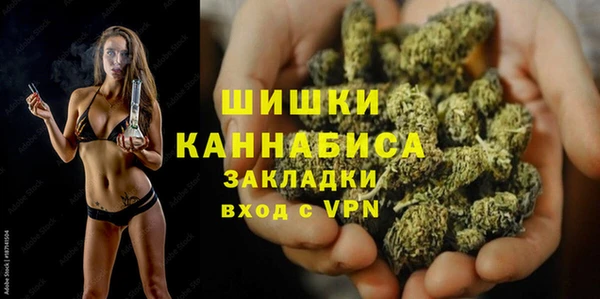 PSILOCYBIN Зерноград