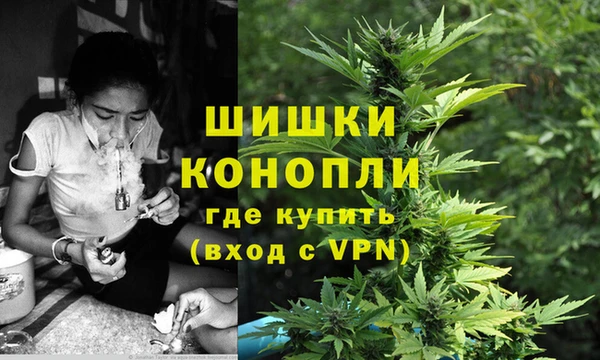 PSILOCYBIN Приозерск