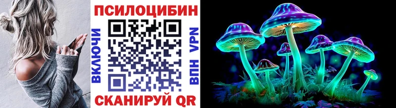 Псилоцибиновые грибы GOLDEN TEACHER  Купить  Советская Гавань 